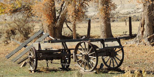 Flatbed wagon, Fort Churchill State Park